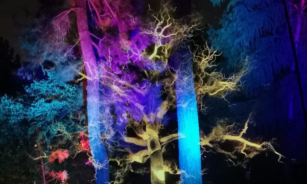 L’Orto Botanico torna a illuminarsi con “Trame di luce”