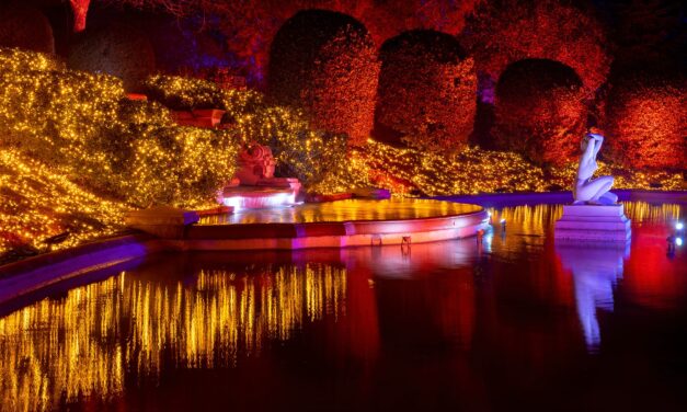 LIGHTS IN NATURE – LIFE a Roma