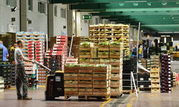 Ampliamento del Centro Agroalimentare Roma: un passo avanti per l’eccellenza e la sostenibilità