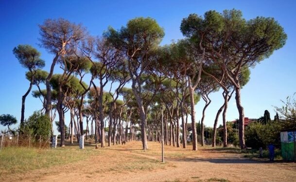 Maticmind in campo per la riqualificazione di Pineta Sacchetti