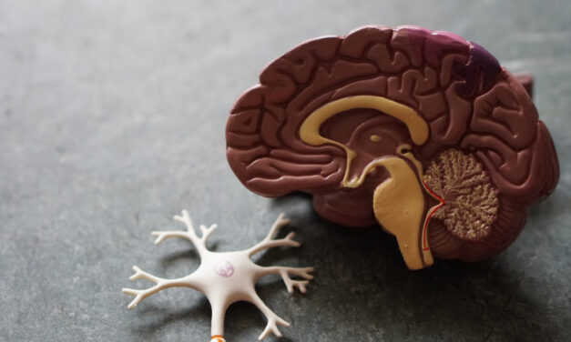 Tumore al cervello, il CNR lavora ad una combinazione di molecole naturali per terapie più efficaci