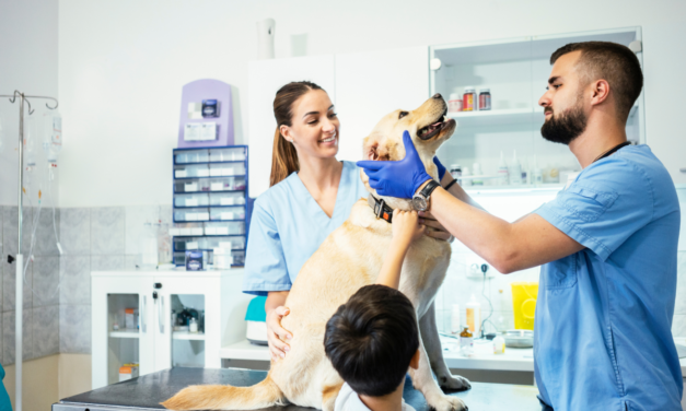 Inaugurato il primo ambulatorio veterinario sociale della Capitale