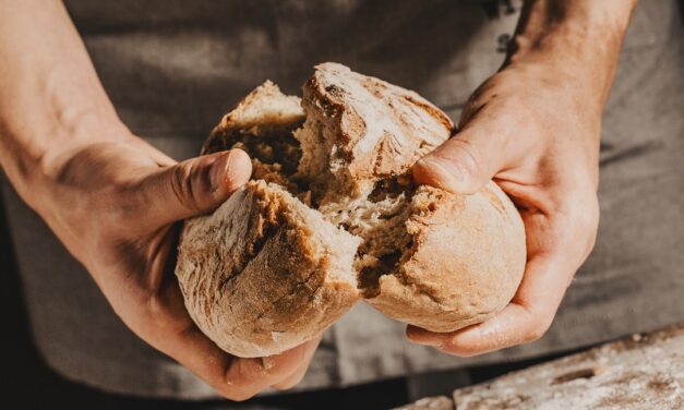 La Caritas Diocesana di Roma organizza il 17 ottobre un evento contro la povertà alimentare
