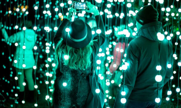 La magia di “Trame di luce” all’Orto Botanico continua nel segno della solidarietà
