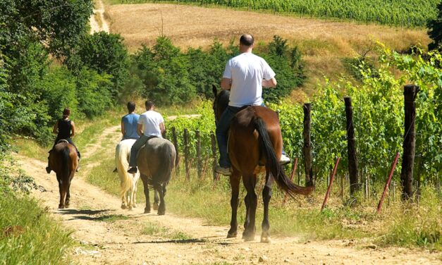 Presentato l’equiraduno dell’Anno Santo