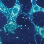 Cube Labs e Tecnopolo Roma insieme per Innovare il Life Science a Castel Romano