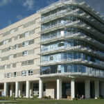 Alzheimer: la PEA dialoga con il sistema immunitario. Scoperto un nuovo meccanismo che può modulare l’infiammazione associata alla malattia di Alzheimer