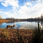 Italo e WWf insieme per la natura