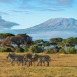 Il turismo è tra i temi principali del Business Forum Italia-Kenya a Roma