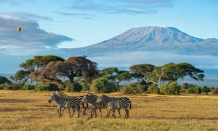 Il turismo è tra i temi principali del Business Forum Italia-Kenya a Roma